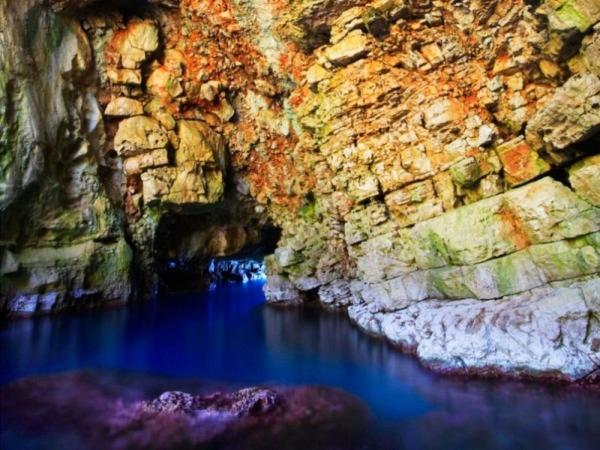 شقة Sunny Side Of Mljet Babino Polje المظهر الخارجي الصورة